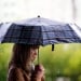 Rain and dust storms are expected in the regions of Uzbekistan