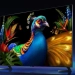 Xiaomi yangi texnologiyali televizorlar uchun buyurtmalar qabul qilishni boshladi