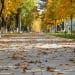 Warm and pleasant weather in Uzbekistan from October 6 to 9