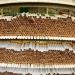 Hidden cigarette factory uncovered in Italy