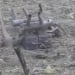 Polshada Rossiyaga oid dron qulab tushdi