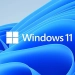 Windows 11 tizimidagi xatolik kompyuter xotirasini to'ldirib yubormoqda