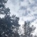 Hot and dry weather in Uzbekistan in September 2025