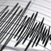 The earthquake in Kyrgyzstan was also felt in the territory of Uzbekistan