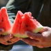 A false rumor about poisoning with melon has been spread
