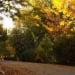 On October 9, stable weather will prevail in Uzbekistan