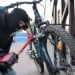 Velosiped o‘g‘irlagan shaxs besh yilga qamaldi