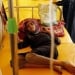 Cholera epidemic in Yemen has gotten out of control