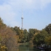 In October, warm and windy weather will persist in Uzbekistan