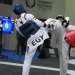 Uzbekistani taekwondo athletes won 14 medals in the UAE