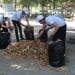 Nationwide Cleanliness Month Begins Across Uzbekistan