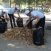 Nationwide Cleanliness Month Begins Across Uzbekistan