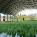 From 2025, football fields will be built in neighborhoods