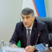 Alisher Qodirov daraxt kesishni soddalashtirishni taklif qildi