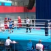 Young Uzbek Boxers to Participate in International Tournament in Minsk