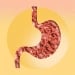 Acute intestinal infections are increasing among children
