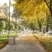 4 октября 2025 года в Узбекистане устойчивая погода