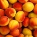 Uzbekistan is the second largest apricot producer in the world