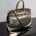 The Birkin bag was sold for a record 10 million dollars