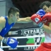 Uzbekistani boxers will hold 11 fights in Sofia today