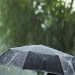 Hot and dry weather will persist across Uzbekistan