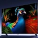 Xiaomi kompaniyasi yangi avlod RGB-Mini LED televizorlarini taqdim etdi