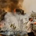 Forest fires intensify in Southern Europe, evacuation begins