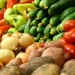 Vegetable production volume increased by 1.2 percent in Uzbekistan