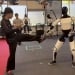 Tesla Optimus robot demonstrated in kung-fu training
