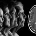 Five stages of human brain development identified