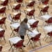 California bar exam results have been reviewed