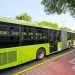 Bus routes in Tashkent will be expanded