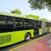 Bus routes in Tashkent will be expanded