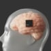 Neuralink implanted brain chips in 12 people