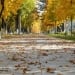 Warm and windy weather in Uzbekistan in early October