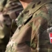 Denmark Accused Russia of Distrust Within NATO