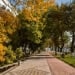 In Uzbekistan, the weather will cool down and rain at the beginning of the week