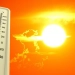 The heat wave will intensify from July 17 to 20