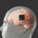 Neuralink implanted brain chips in 12 people