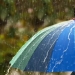 O'zbekistonda may oyi boshida beqaror va yomg'irli ob-havo kutilmoqda