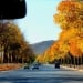 Weather in Uzbekistan will be warm and sunny