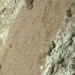 Perseverance found ancient signs of life on Mars