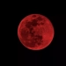 On September 7, there will be a total lunar eclipse in Uzbekistan