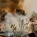 В Южной Европе усилились лесные пожары, началась эвакуация