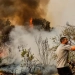Forest fires intensify in Southern Europe, evacuation begins