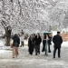 Cold is expected to intensify in Uzbekistan in January