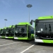 O'zbekistonda jamoat transporti uchun 1800 ta yangi avtobus xarid qilinadi