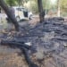 A fire broke out in Chilonzor, the fire was quickly extinguished
