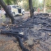 A fire broke out in Chilonzor, the fire was quickly extinguished