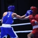 Olti o'zbek bokschisi Jahon chempionati nimchorak bosqichida ringga ko'tariladi